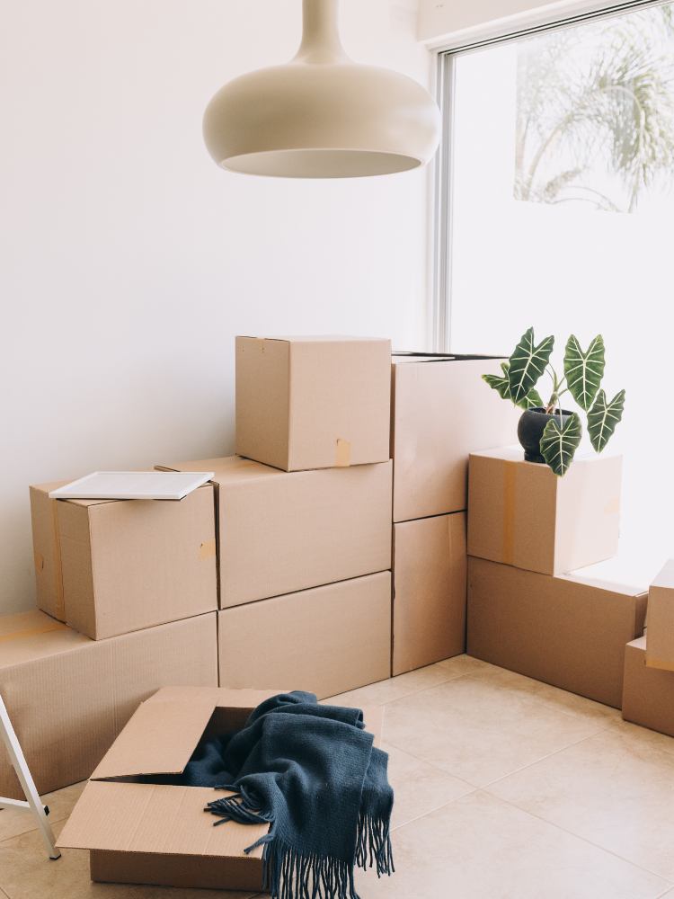 Ihre Privatumzug in Cham