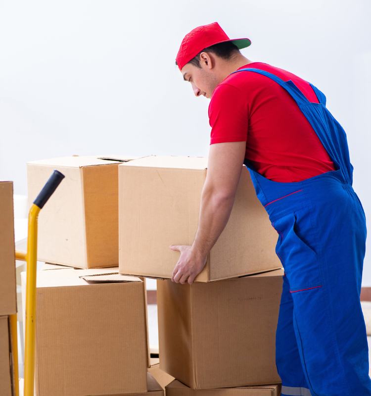 Privatumzug mitarbeiter in Herrliberg